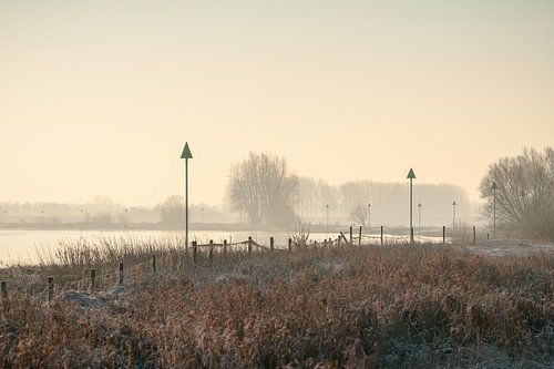 Wintermorgen entlang der Auen des Flusses IJssel von Fotografiecor .nl