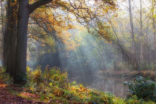 Immobilier Marlot La Haye, Pays-Bas