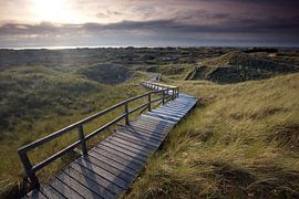 The way to the sea by Marko Sarcevic