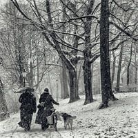 December snow