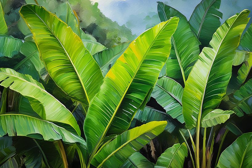 Banana by Andreas Wemmje