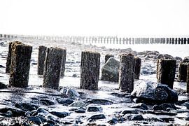Paalhoofd op dijk Westkapelle
