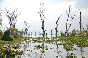 Nakuru lake in Kenya by Romy Oomen