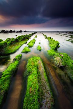 Barrika Strand van Arnaud Bertrande