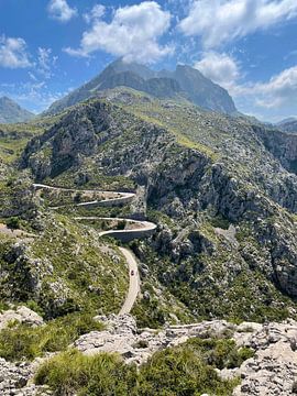 Mallorca - Landschap van Marek Bednarek