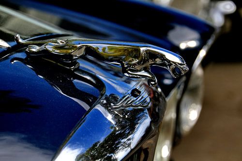 Jaguar logo van Henk Langerak