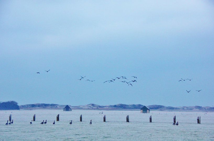 Texel Landscape 002 by Starworks:  LinaLena van der Star