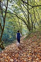 Herfstwandeling in het bos
