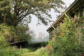 Rotterdam bij het quarantainestrandje  van Tineke Mols