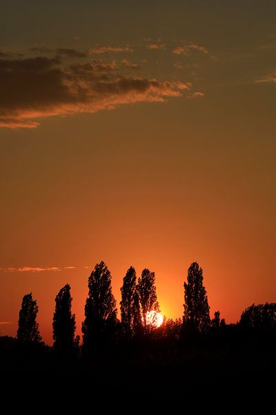Lake Constance Evening by Thomas Jäger