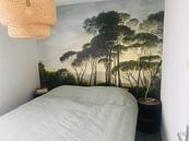 Customer photo: Italian landscape with umbrella pines, Hendrik Voogd