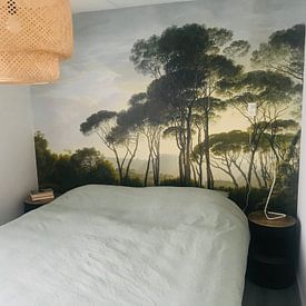 Customer photo: Italian landscape with umbrella pines, Hendrik Voogd, as wallpaper