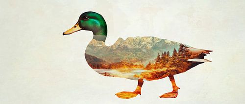 Relaxed duck landscape by Poster Art Shop