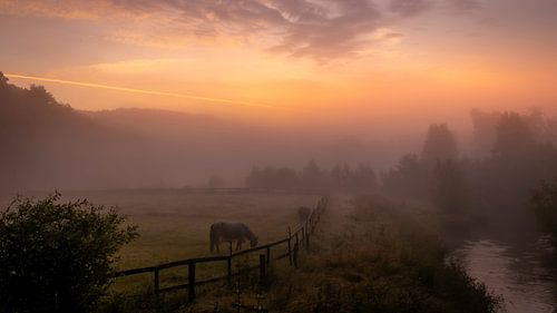Mistig Landschap Tijdens Het Gouden Uurtje