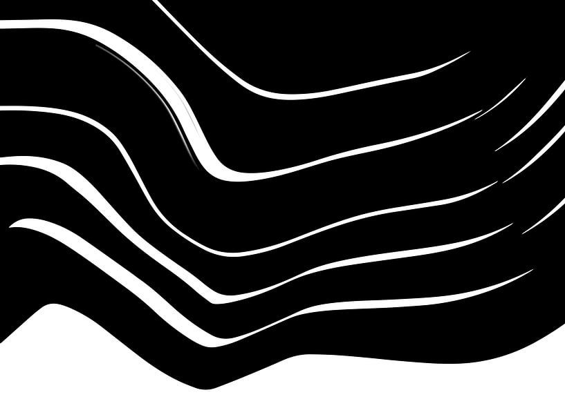 Organic 10 | Black &amp; White Minimalistic Abstract by Menega Sabidussi
