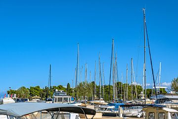 Croatia : Preko on the island of Ugljan by Photoart-Naegele