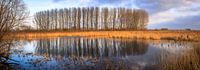 Oude Rijn Pannerden by René Rollema thumbnail