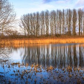 Oude Rijn Pannerden by René Rollema