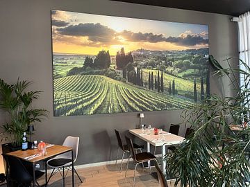 Klantfoto: Wijngaarden bij zonsondergang in Alta Maremma. Toscane van Stefano Orazzini