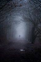 Dark misty autumn day in the forest