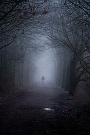 Dunkler, nebliger Herbsttag im Wald von Stef Wingens