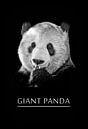 Großer Panda van Leopold Brix thumbnail