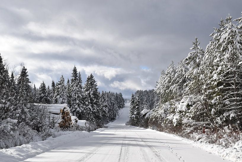 The Route du rang du nord in winter by Claude Laprise