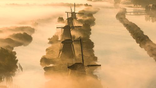 Mistige Ochtend bij Kinderdijk – Windmolens in Gouden Licht
