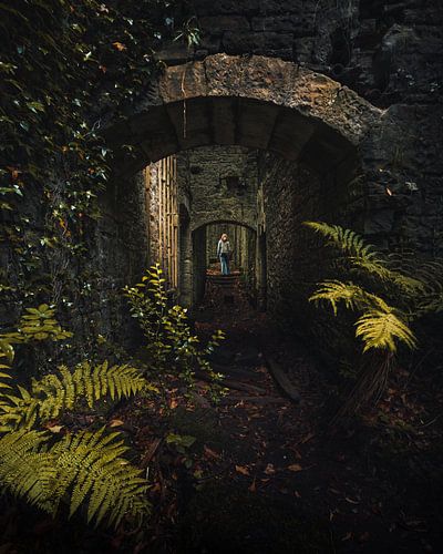 Where nature reclaims the castle 6