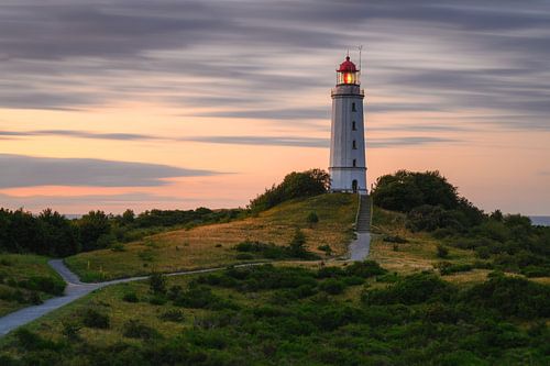 Dornbusch sur Robin Oelschlegel
