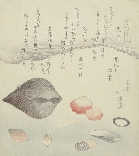 Coquille de fleur, coquille rouge et la coquille rouge pure, Totoya Hokkei, 1821