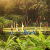 Het planten van de rijst op Bali van Jeroen Langeveld, MrLangeveldPhoto