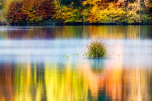 Stille am See von Daniela Beyer