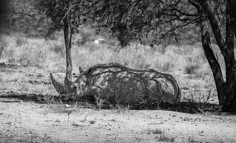 Black and white photograph of rhino in Namibia, Africa by Patrick Groß