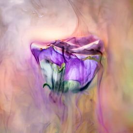 Altrosa Unterwasser 2 von Patricia van Kuik