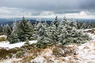 Landschaft mit Schnee auf dem Brocken im Harz von Rico Ködder Miniaturansicht
