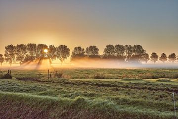 sunrise in the polder with mist by eric van der eijk