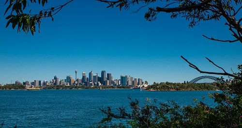 Overlooking the Skyline of Sydney