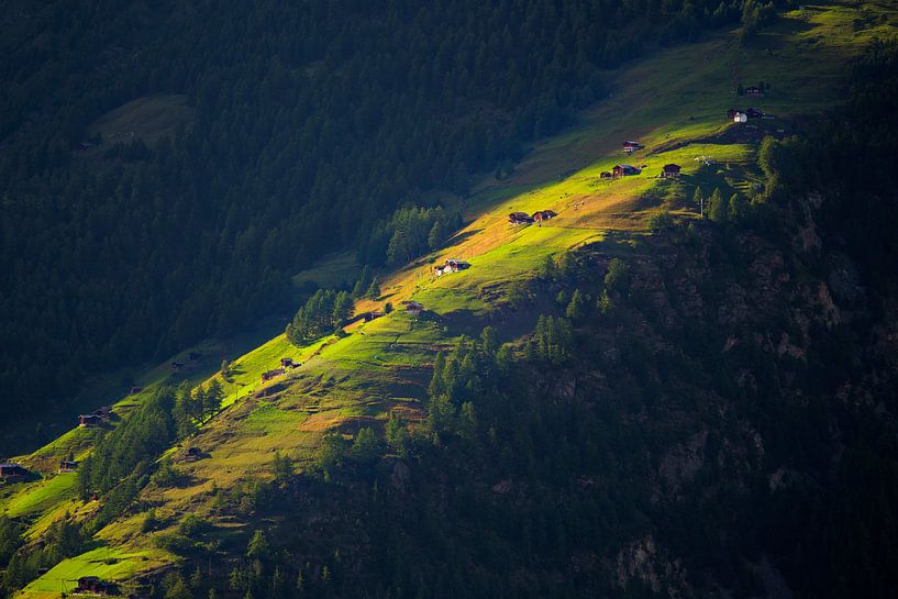 Last rays of sunshine on mountain meadow by Menno Boermans
