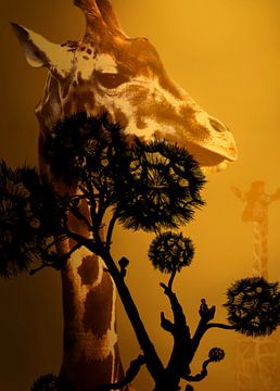 Träumen in Afrika von Foto Studio Labie