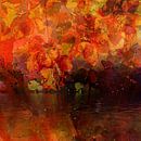 Gouden herfst van Andreas Wemmje thumbnail