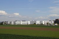 Witte Huizen Groene Velden