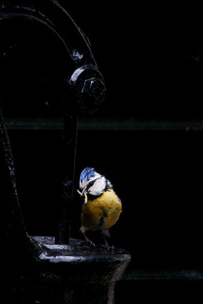 Un petit titre bleu sur la pompe à eau par Gert van Lagen
