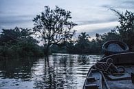 Boottocht door Vietnam, Can Tho van Anne Zwagers thumbnail
