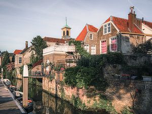Dordrecht von seiner schönsten Seite!