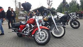 Harley davidson by Ivana Luijten