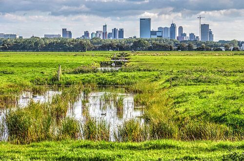 Rotterdam from the Polder