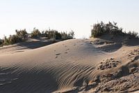 duinen