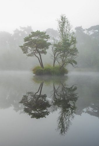 Mystical misty morning at the Diaconate in Oisterwijk