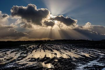 Jacob's ladders over wet polder